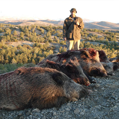 Охота на безоарового козла в Турции